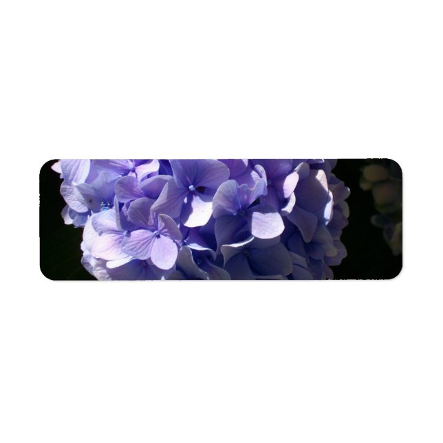 Hydrangeas Return Address Label (Front)
