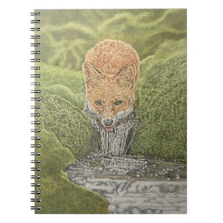 Hydrate Notebook