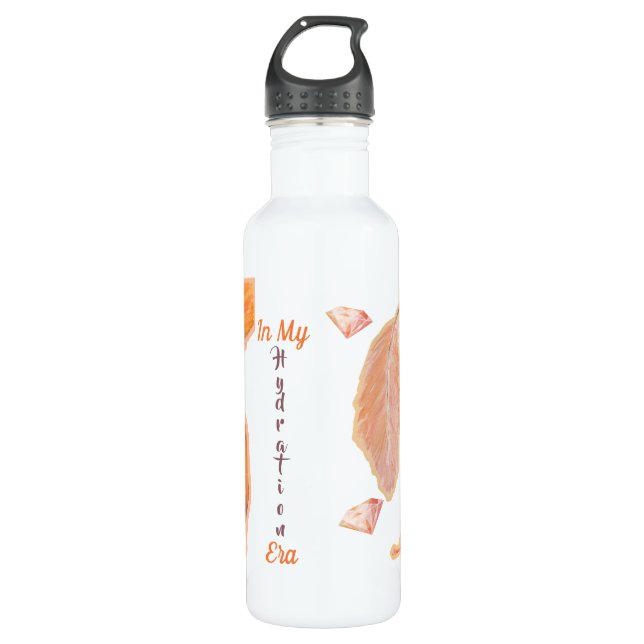 Hydration Era Stainless Steel Water bottle (Front)