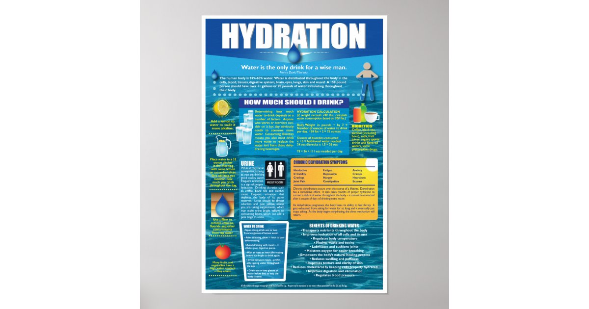 Hydration Poster | Zazzle