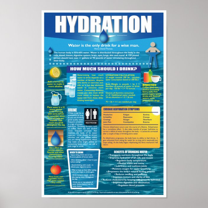 Hydration Poster | Zazzle.com.au