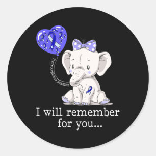 Hydrocephalus Awareness Elephant 1 Classic Round Sticker