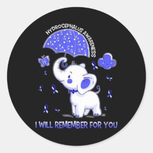 Hydrocephalus Awareness Elephant Classic Round Sticker