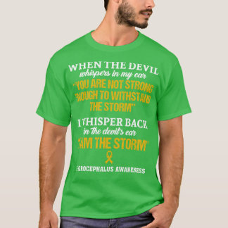 Hydrocephalus Awareness I Am The Storm In This Fam T-Shirt
