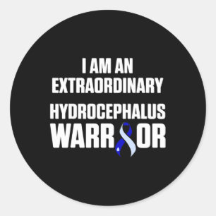 Hydrocephalus Survivor Extra Awareness Warrior Classic Round Sticker