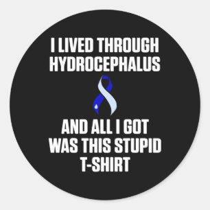 Hydrocephalus Survivor Lived Awareness Warrior Classic Round Sticker