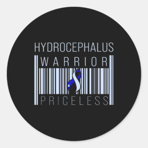 Hydrocephalus Survivor Price Awareness Warrior Classic Round Sticker