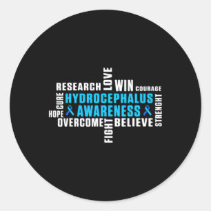 Hydrocephalus Survivor Treating Awareness Warrior  Classic Round Sticker