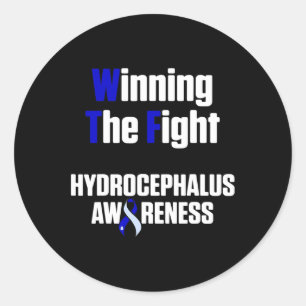 Hydrocephalus Survivor Winning Awareness Warrior Classic Round Sticker