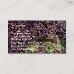 Hydroponic lettuce leaves business card