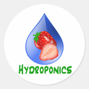Hydroponics, strawberries, green text, blue drop classic round sticker