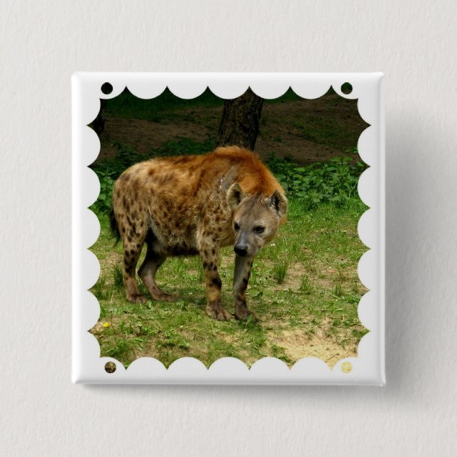 Hyena Prowl Square Pin (Front)
