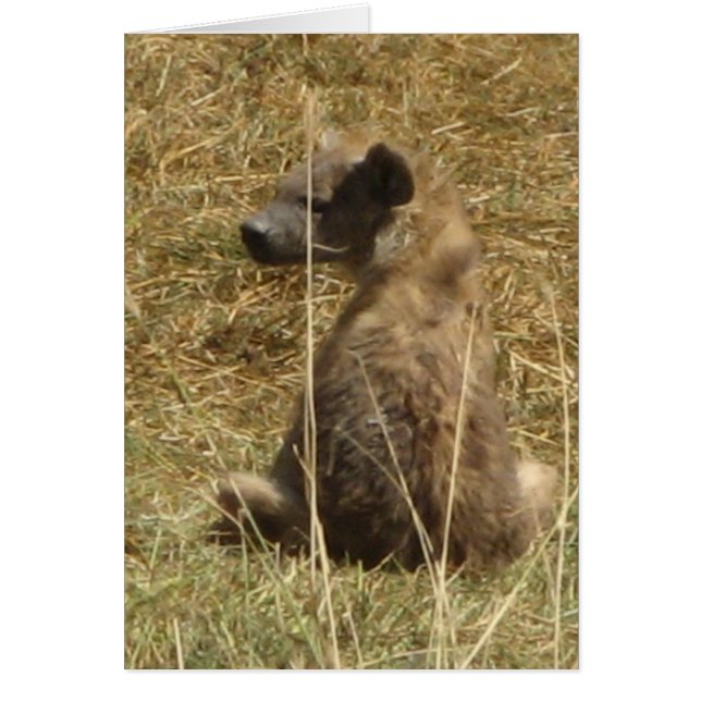 Hyena Pup (Front)