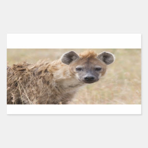 Hyena Rectangular Sticker