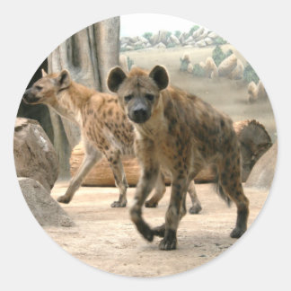 Hyena Takes A Look Sticker