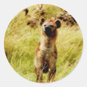 Hyena with wildebeest (gnu) sticker
