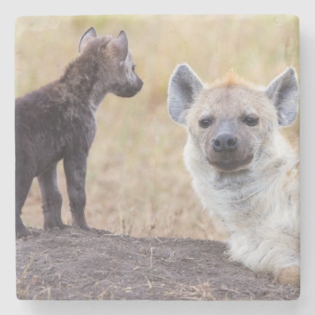 Hyena with young one stone coaster (Front)