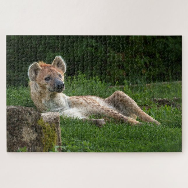 Hyena's Bliss Capturing Nature's Smiles Jigsaw Puzzle (Horizontal)