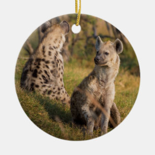 Hyenas Ceramic Tree Decoration