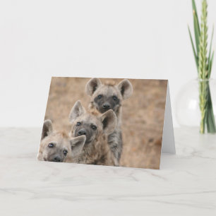 Hyenas Greeting Card