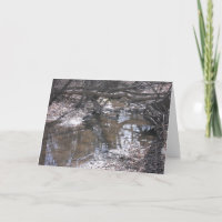 "Hyland Lake Mallards" Thank You Card