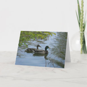 "Hyland May Day Mallards #1" Thank You Card