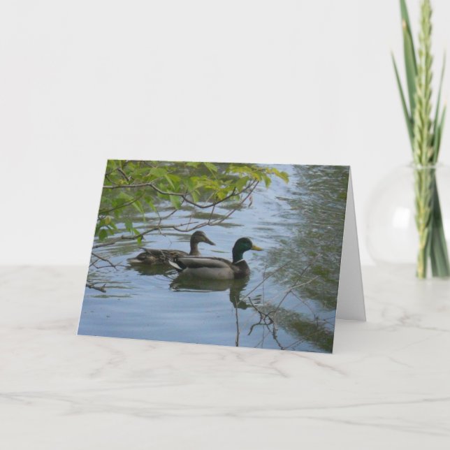 "Hyland May Day Mallards #1" Thank You Card (Front)