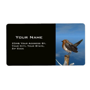 HYPER BIRDS / ROBIN RED BREAST