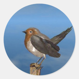 HYPER BIRDS / ROBIN RED BREAST CLASSIC ROUND STICKER