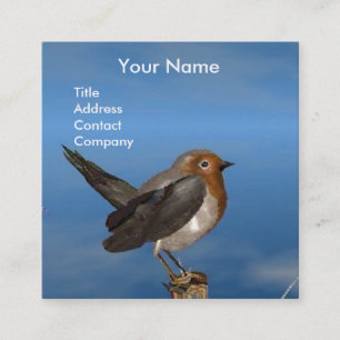 HYPER BIRDS / ROBIN RED BREAST MONOGRAM SQUARE BUSINESS CARD