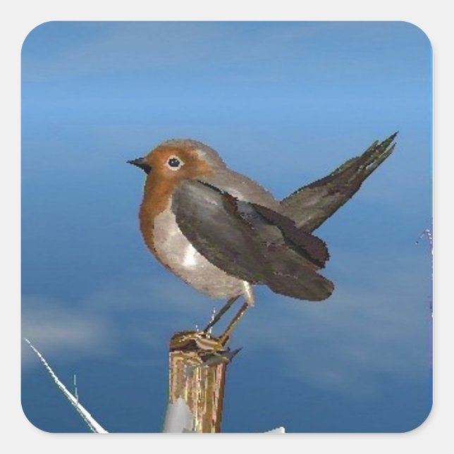 HYPER BIRDS / ROBIN RED BREAST SQUARE STICKER (Front)