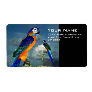 HYPER PARROTS / BLUE ARA