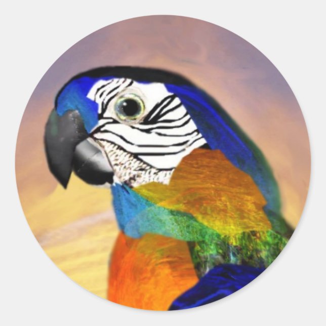 HYPER PARROTS / BLUE ARA CLASSIC ROUND STICKER (Front)
