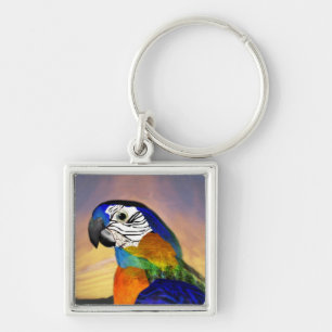 HYPER PARROTS /BLUE ARA KEY RING