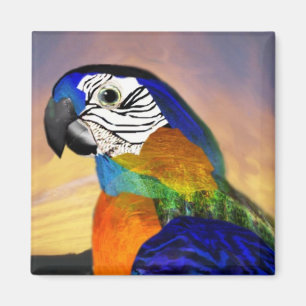 HYPER PARROTS / BLUE ARA MAGNET