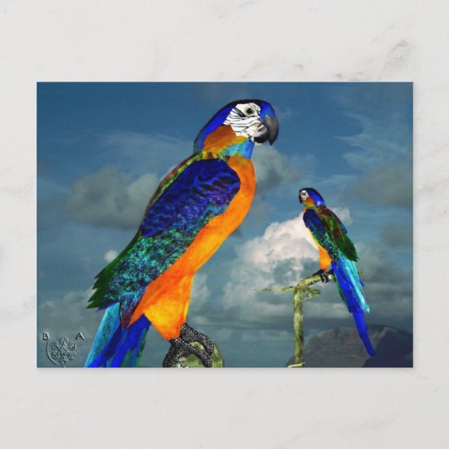 HYPER PARROTS / BLUE ARA POSTCARD (Front)