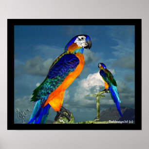 HYPER PARROTS / BLUE ARA POSTER