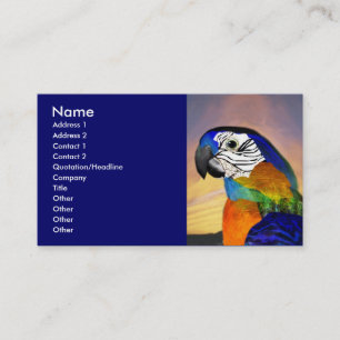 HYPER PARROTS / RED AND BLUE ARA BUSINESS CARD