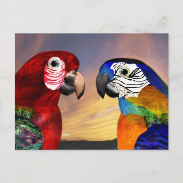 HYPER PARROTS / RED AND BLUE ARA POSTCARD (Front)