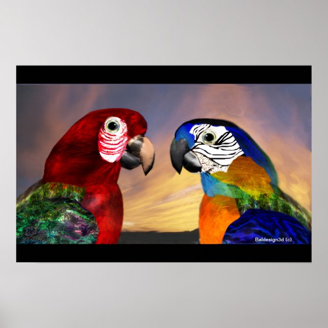HYPER PARROTS / RED AND BLUE ARA POSTER (Front)