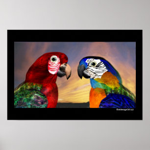 HYPER PARROTS / RED AND BLUE ARA POSTER
