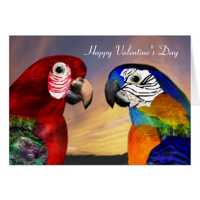 HYPER PARROTS / RED AND BLUE ARA Valentine's Day (Front Horizontal)