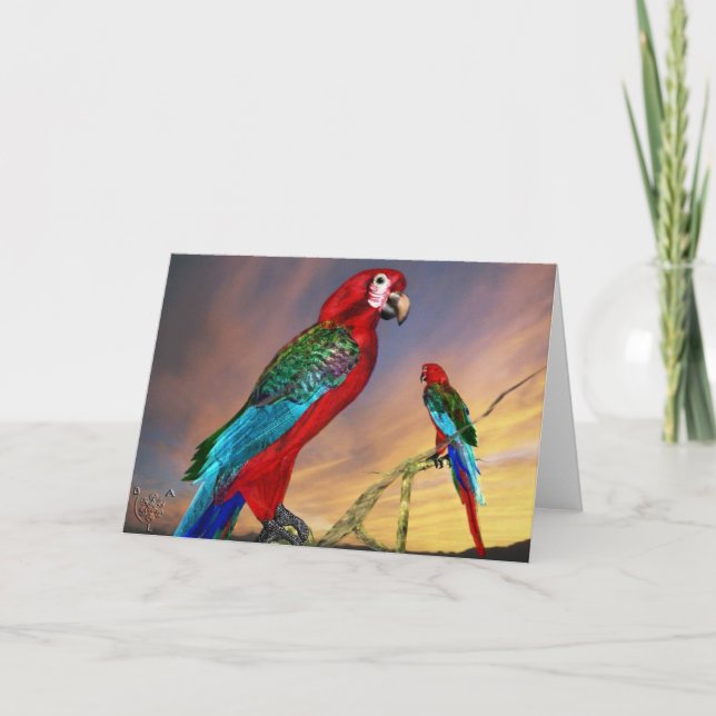 HYPER PARROTS / RED ARA CARD (Front)