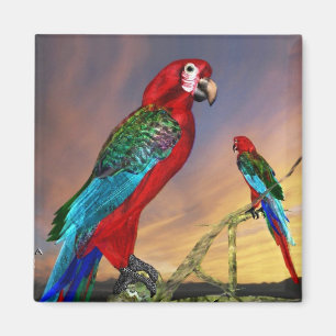 HYPER PARROTS / RED ARA MAGNET