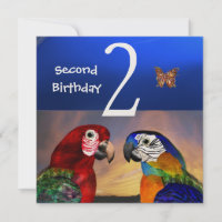 HYPER PARROTS / Second Birthday Party , Champagne