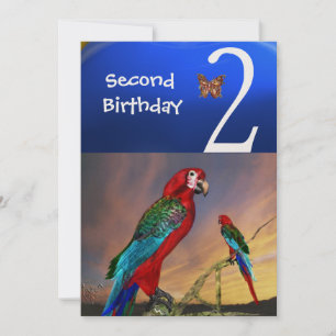 HYPER PARROTS / Second Birthday Party , Champagne Invitation