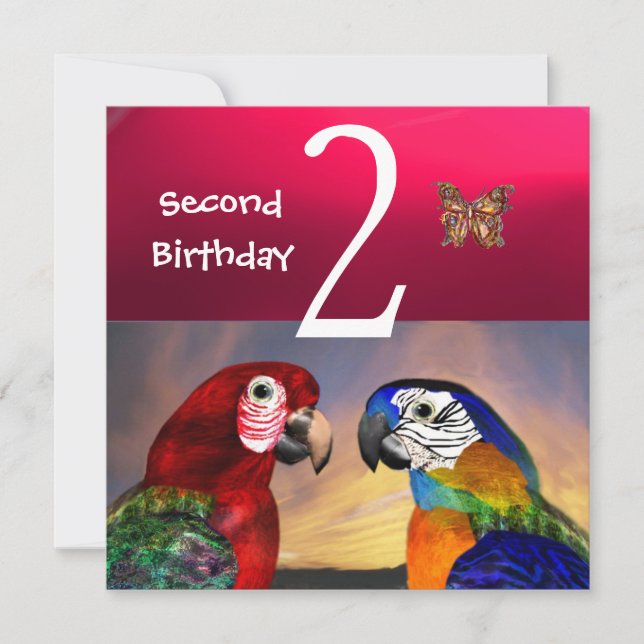 HYPER PARROTS / Second Birthday Party,Fuchsia Blue Invitation (Front)