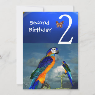 HYPER PARROTS / Second Birthday Party Invitation