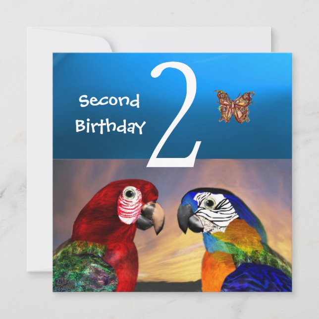 HYPER PARROTS /Second Birthday Party, Turquase Invitation (Front)