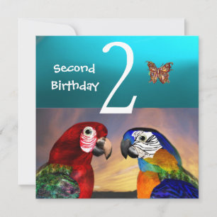 HYPER PARROTS /Second Birthday Party, Turquase Invitation